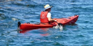 Clean Sydney Waters