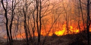 Fire on German-Czech border