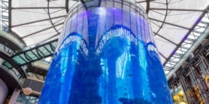 Berlin aquarium burst