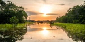 Little water in the Amazon River