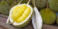 Chinese people love durian from Malaysia