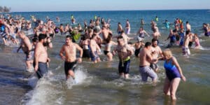 Polar bear dip world record